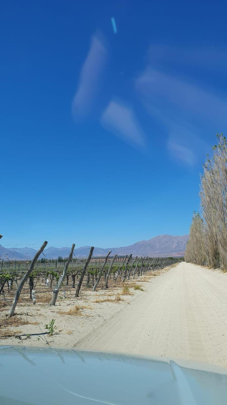 Waytay Villa Cafayate Eksteriør bilde